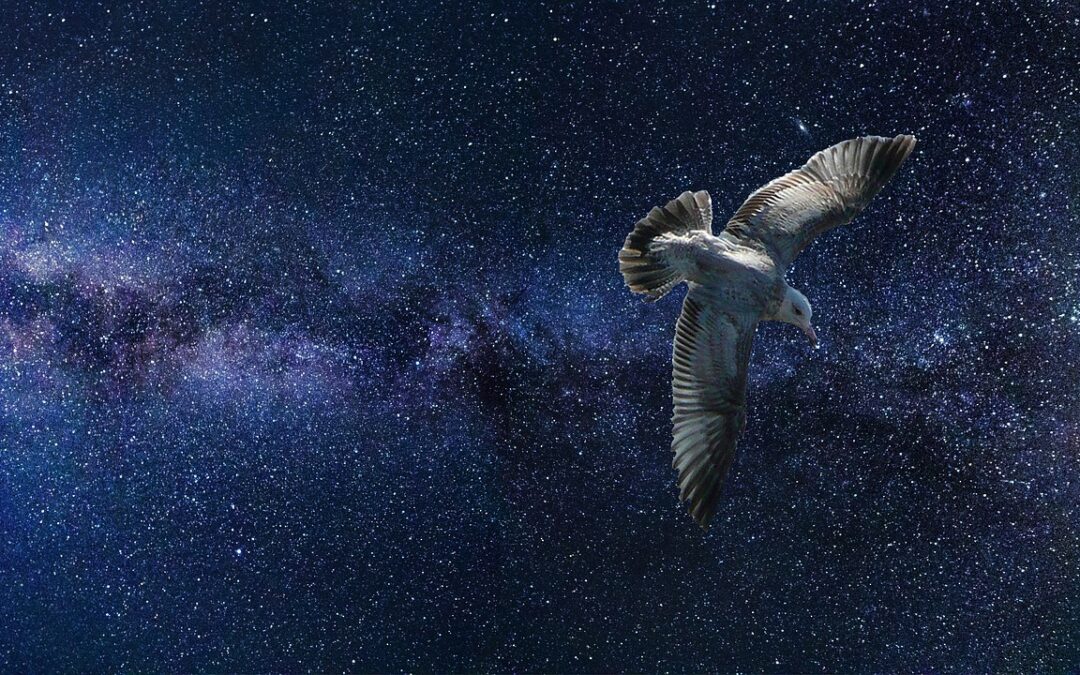 “Astrological Self-discovery Techniques” | Unleash Your Inner Stargazer: A Beginner’s…