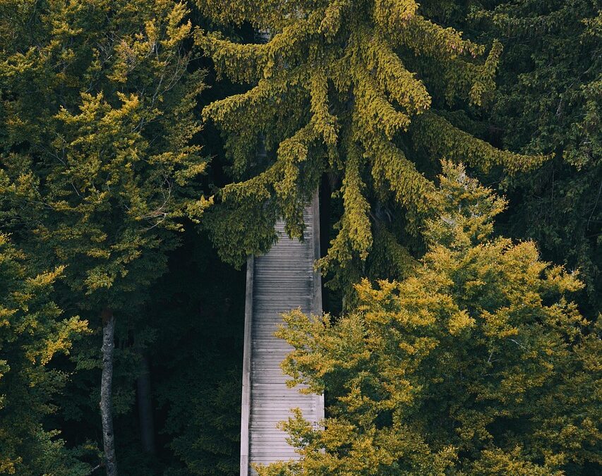 Discover Your Cosmic Path With Our Guidance ~ Unveiling Your…