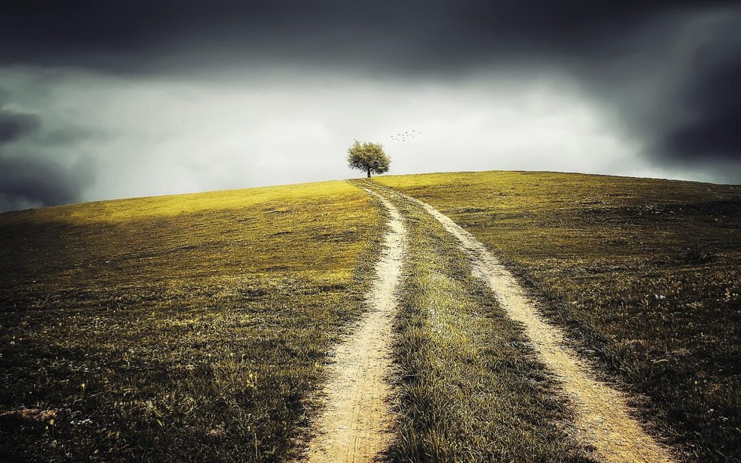 Finding Your Cosmic Destiny Path: Unveiling Your Cosmic Destiny: A…