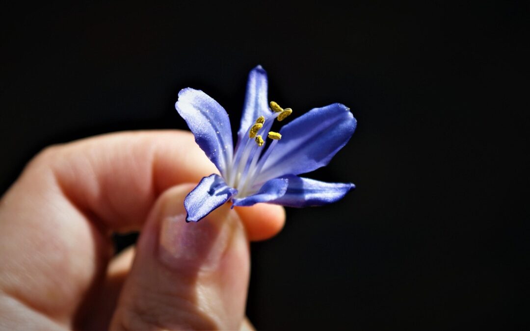 How Can You Use The Universe’s Power For Growth? ~…