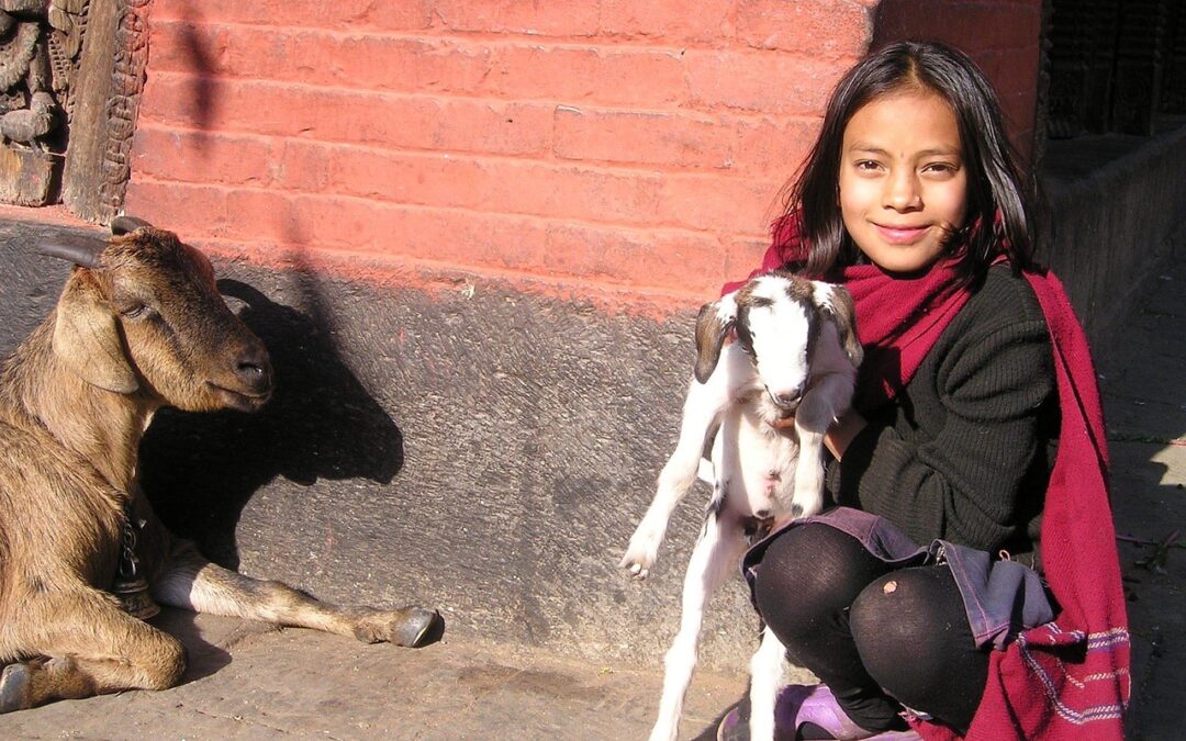“Zodiac Exploration Guide”: Unleash Your Inner Goat: A Zodiac Exploration…
