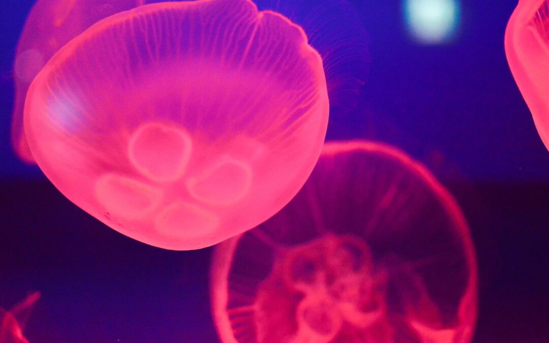 “Astrological Self-discovery Techniques” | Dive Deep: Unlocking Your Inner Pisces…