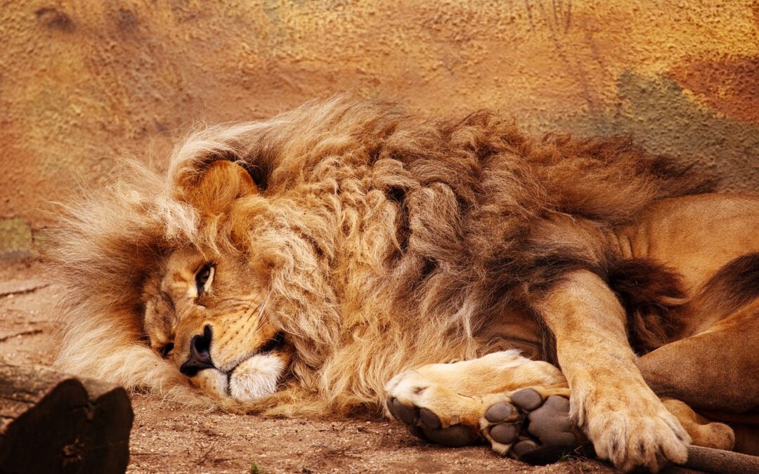 “Astrological Wisdom For Daily Life”: Leo, Unleash Your Inner Fire:…