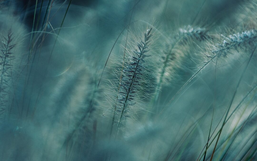 Astrology And Spiritual Growth ~ Unleash Your Inner Tiger: Astrology…