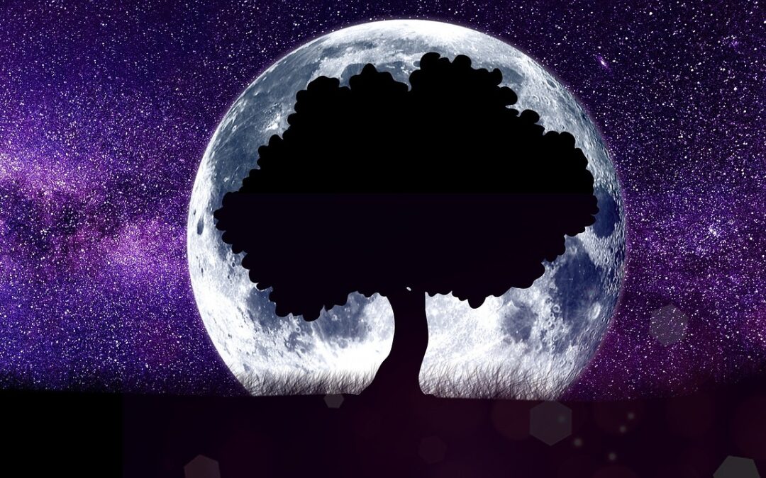 Astrology And Mystical Experiences » Slithering Into The Mystical: Snakes,…