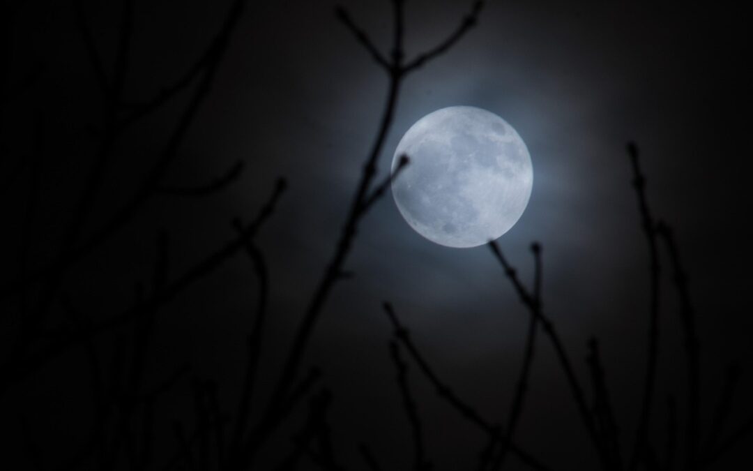 Astrology And Psychic Predictions | Unveiling The Cosmic Secrets: When…