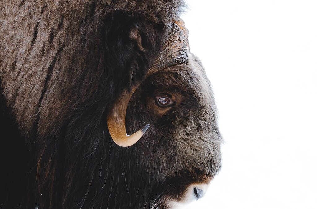 “Astrology As A Guide To Self-discovery” » Embark On Your…