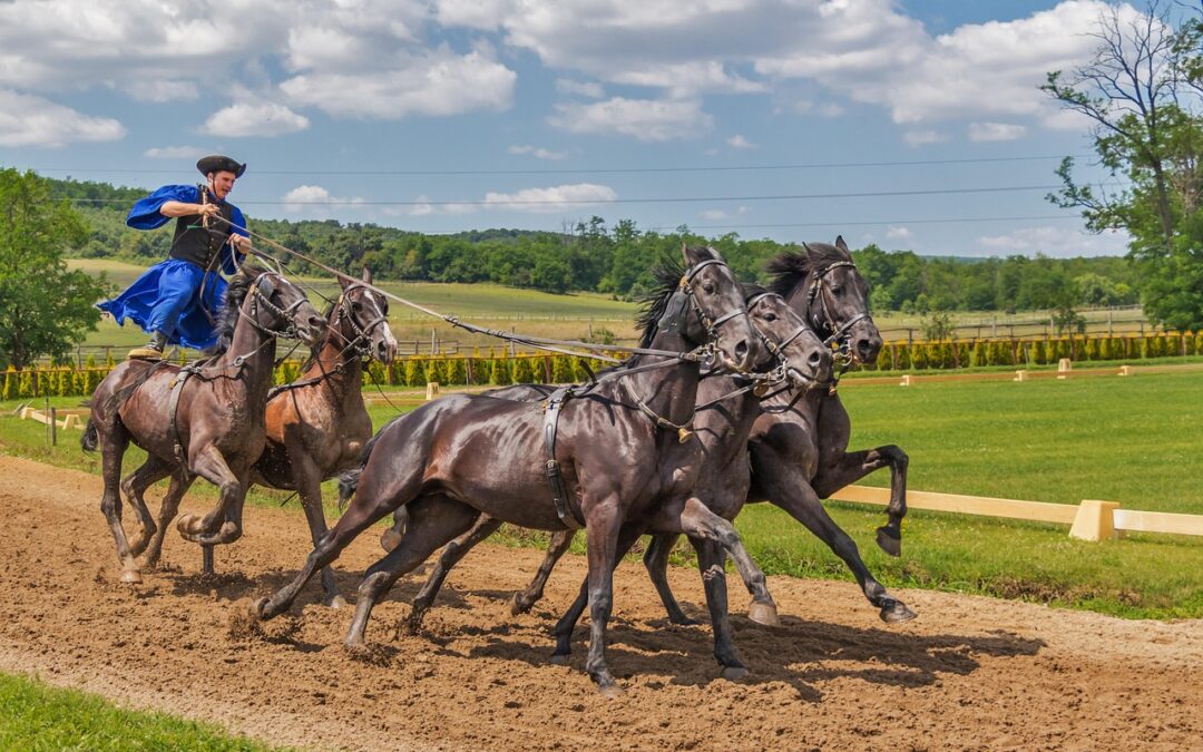 “Awaken Your Zodiac Spirit” » Unleash Your Inner Horse: A…