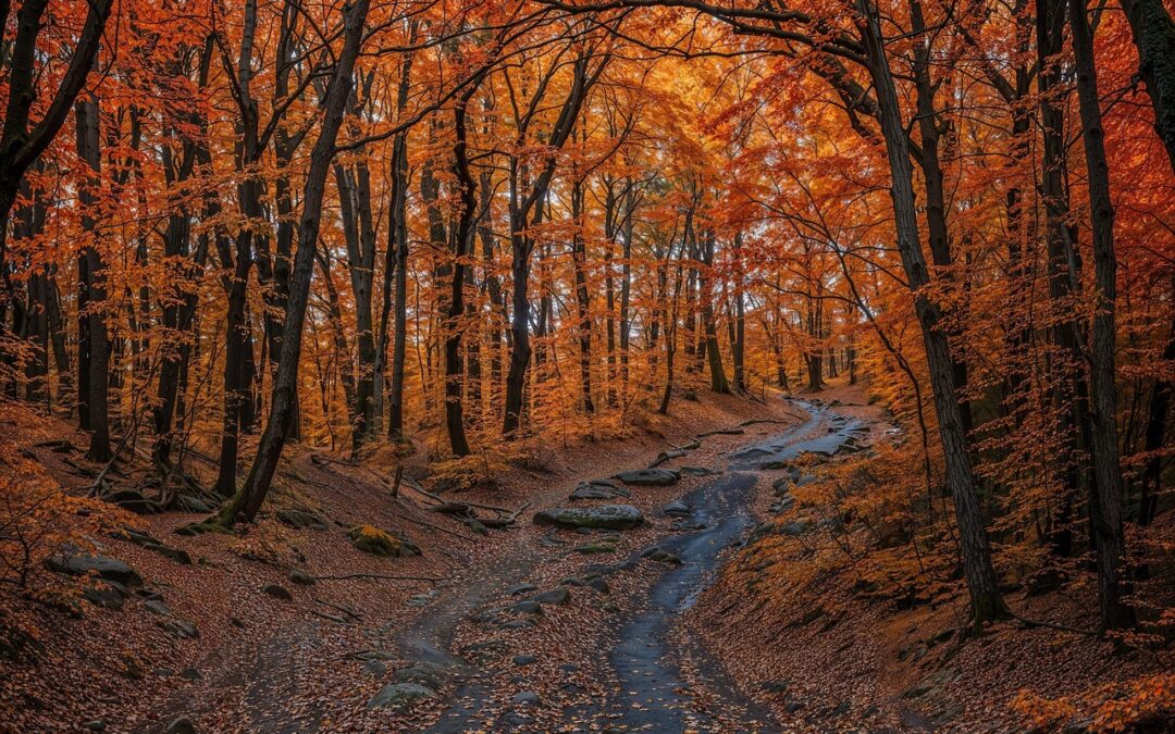 Discover Your Cosmic Path With Our Guidance | Unveiling Your…