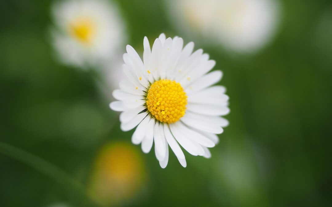 “Elevate Your Astral Being”: Unlock Your Inner Star Power: A…