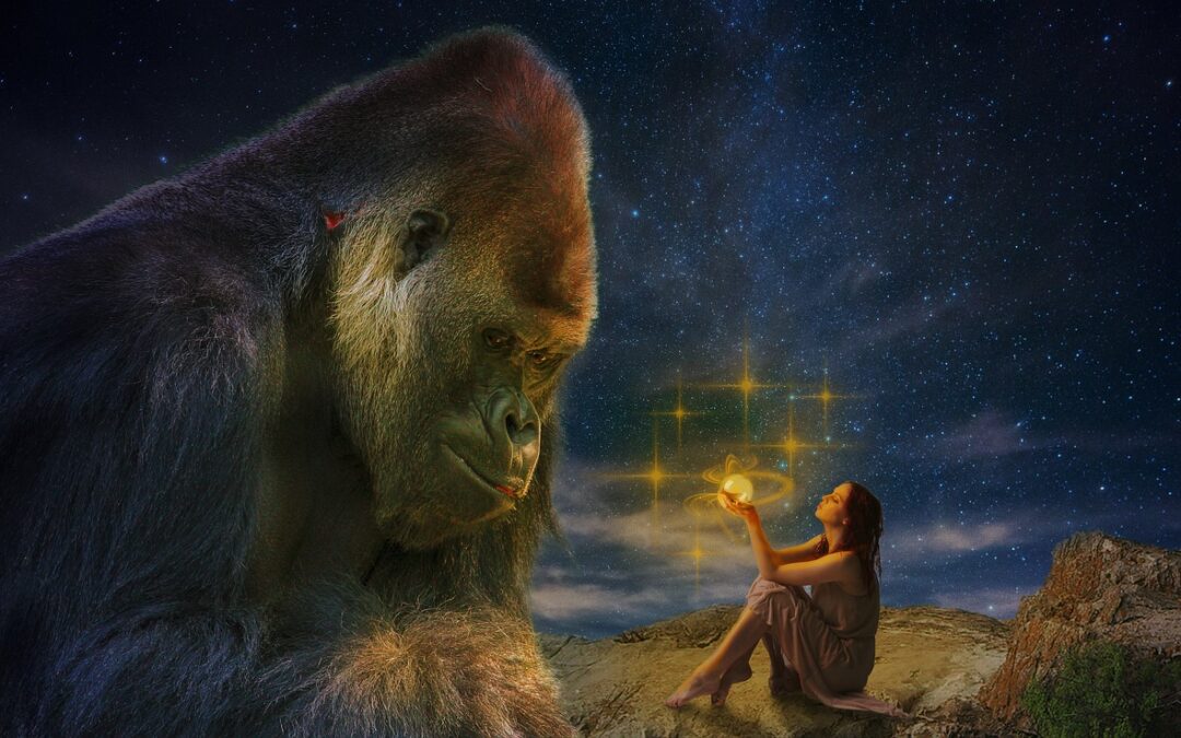 Exploring Zodiac Wonders / Unveiling The Mysteries Of The Zodiac:…