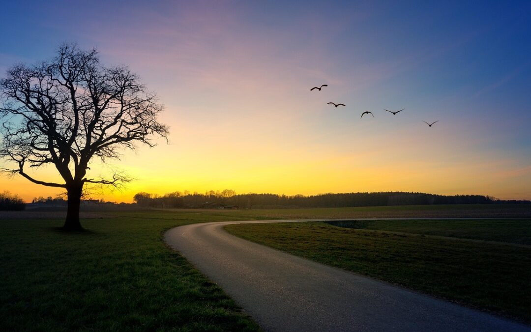 Finding Your Cosmic Destiny Path » Unlocking Your Destiny: Exploring…