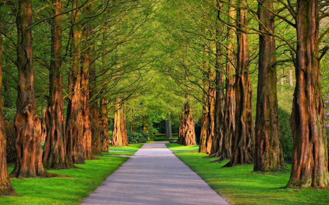 Finding Your Cosmic Destiny Path / Unveiling Your Cosmic Destiny:…
