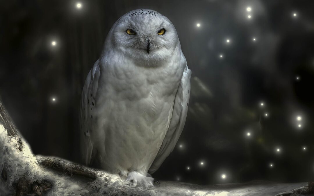 Mystical Astrology Predictions: Unlocking The Secrets Of Your Chinese Zodiac:…