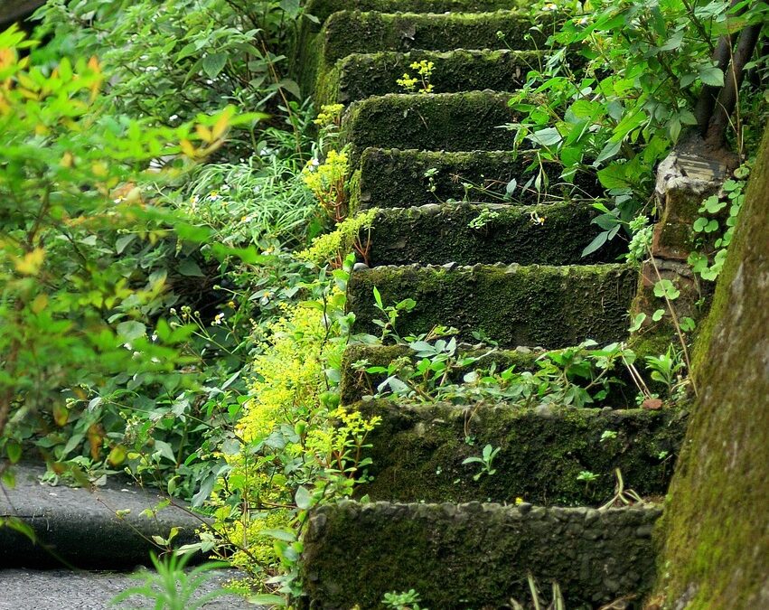 Steps To Align With Cosmic Destiny – Unveiling Your Cosmic…