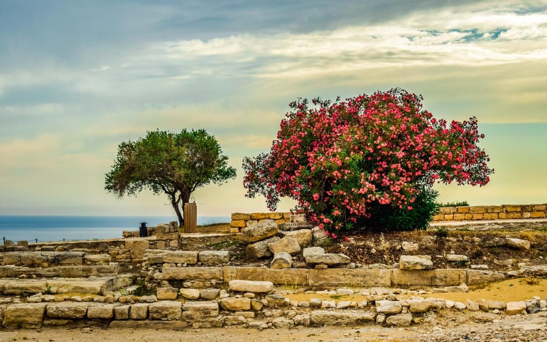 What Ancient Civilizations Contributed To Modern Astrology? » Unlocking The…