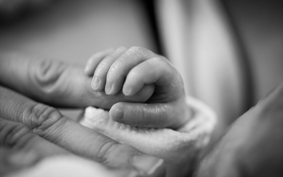 What Are The Components Of A Birth Chart? » Unveiling…