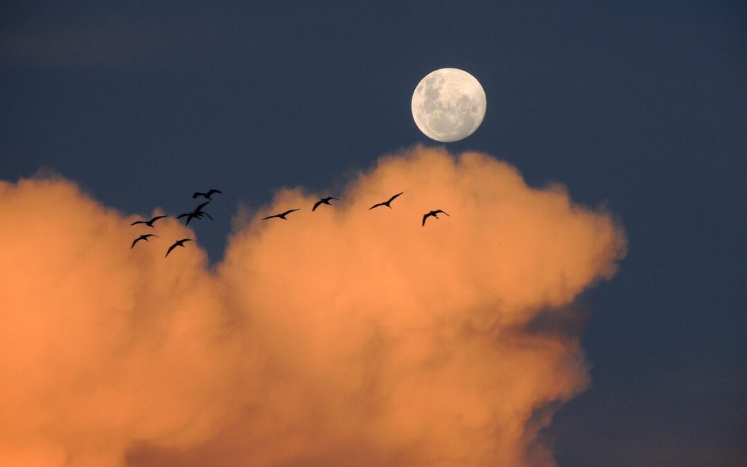 What Insights Can Planetary Transits Provide During Times Of Existential…