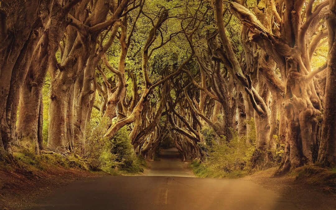 What Is The Astrological Path To Enlightenment? | Unlock Your…