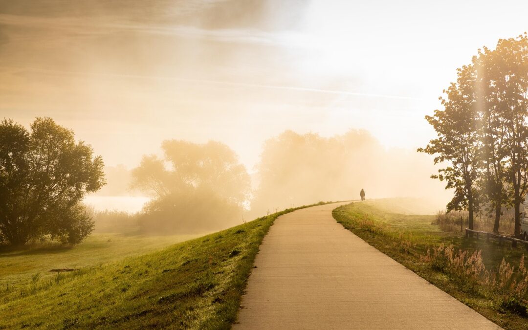What Is The Astrological Path To Enlightenment?: Riding The Cosmic…