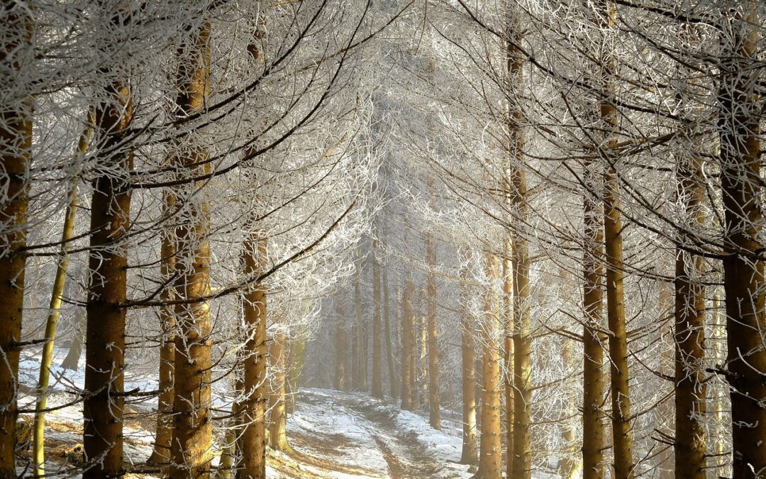 What Is The Astrological Path To Enlightenment? ~ Unlocking Your…