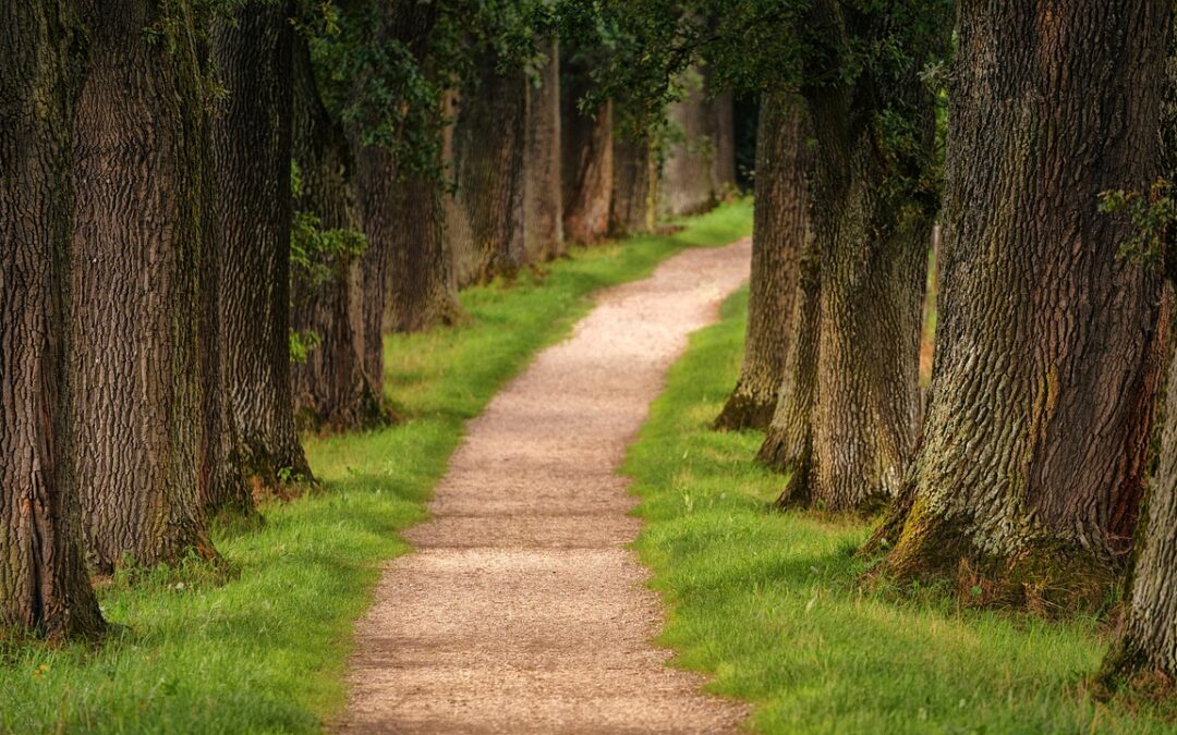Astrological Path To Enlightenment – Your Cosmic Journey: Unlocking Enlightenment…
