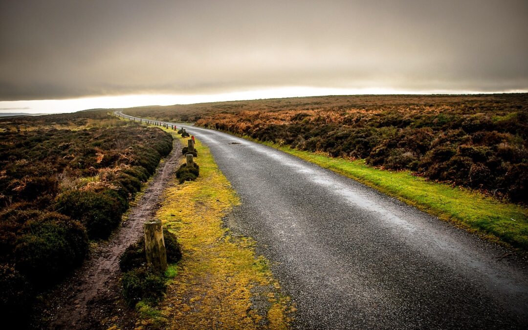Discover Your Cosmic Path With Our Guidance ~ Embark On…