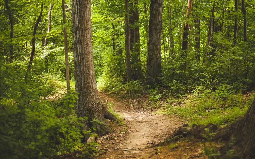 Discover Your Cosmic Path With Our Guidance | Embark On…
