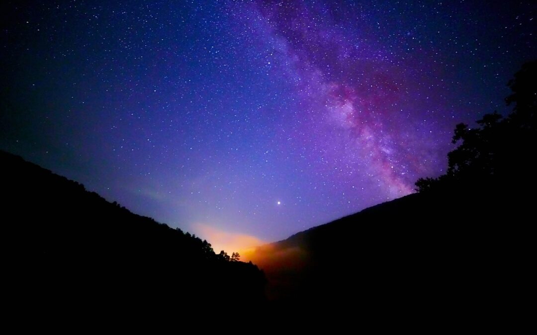 Exploring The Cosmos With Astrology ~ Stargazing With Your Snout:…