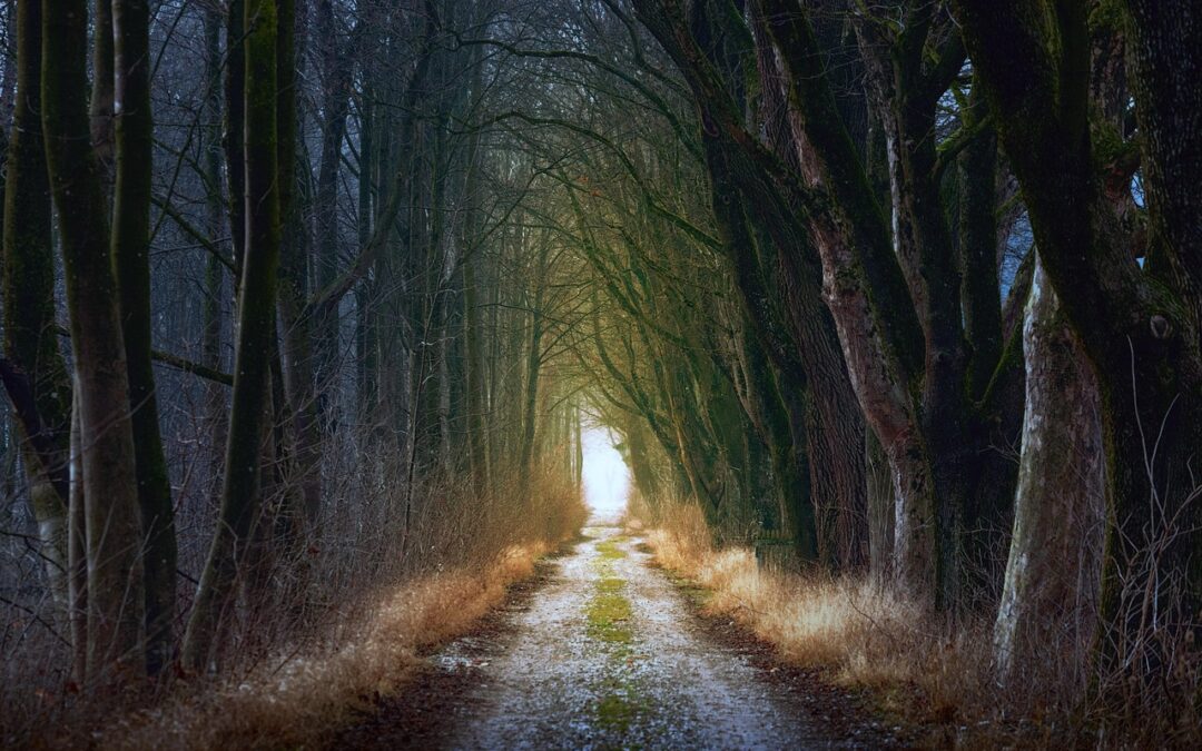 Finding Your Cosmic Destiny Path – Unleash Your Cosmic Destiny:…