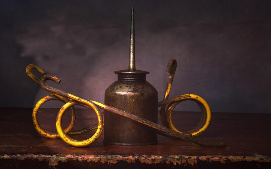 How Can You Explore The Wonders Of The Zodiac? »…