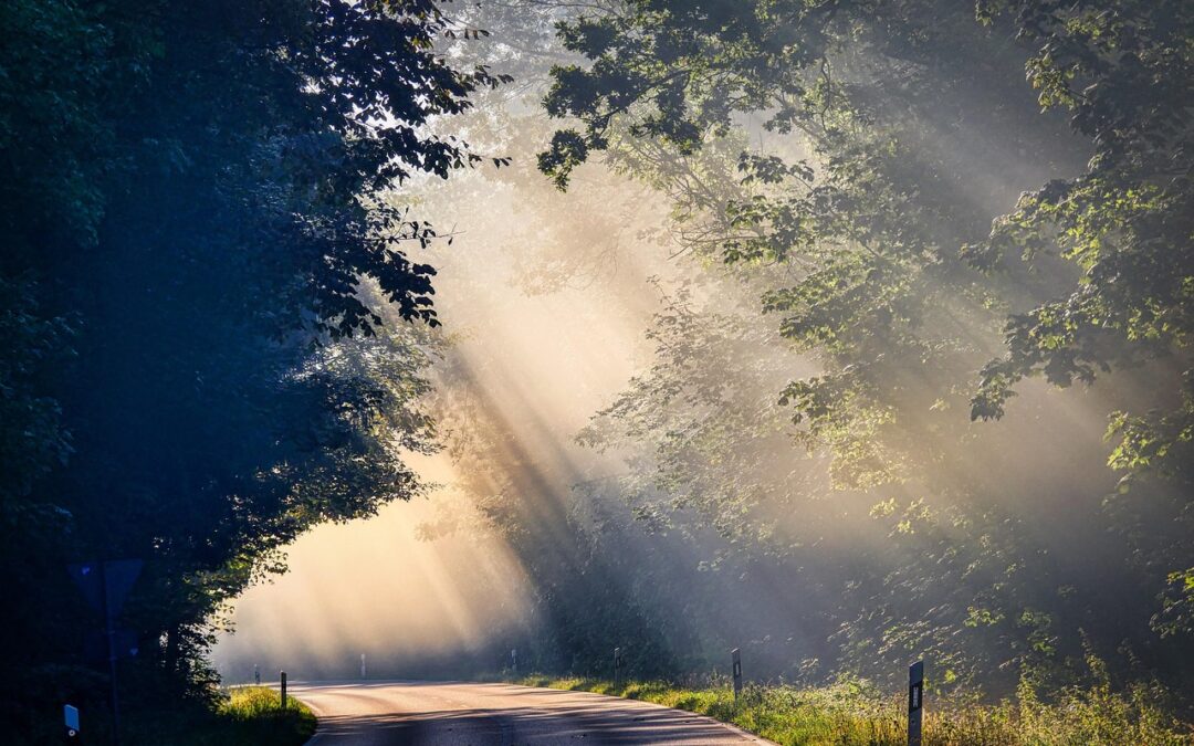Mystical Astrological Bonds: Unveiling The Cosmic Tapestry: Your Sagittarius Connection…