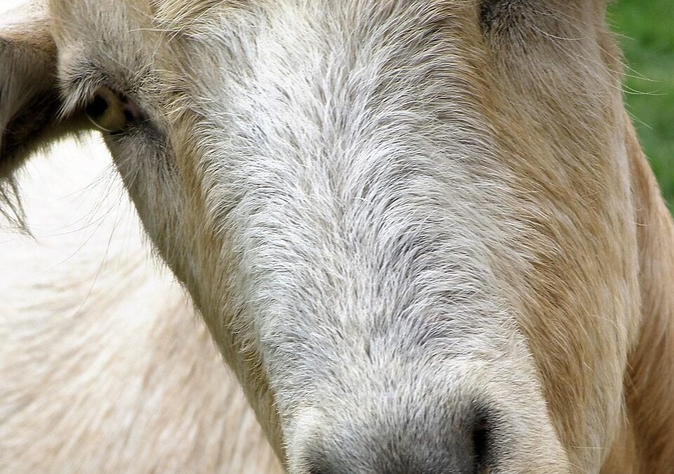 These Questions Can Help You Delve Into The Profound Connection…