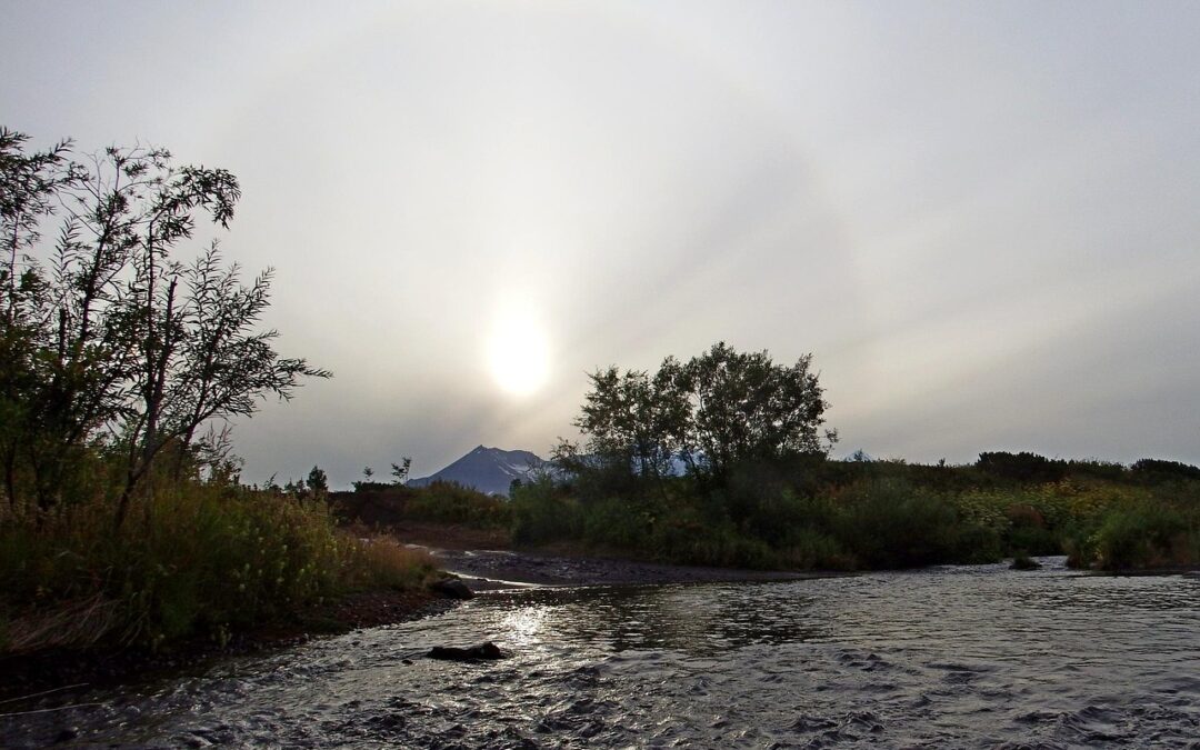 “Traveling Through The Cosmos”: Cosmic Voyage: A Journey Through The…