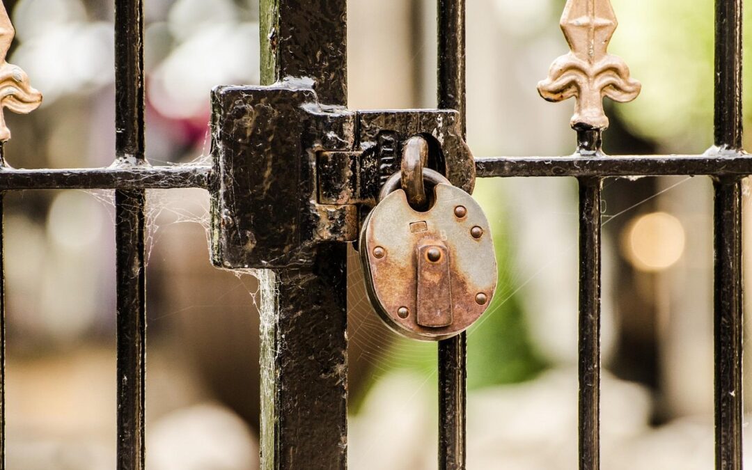 Unveil Celestial Secrets With Our Astrology Tour ~ Unlocking The…