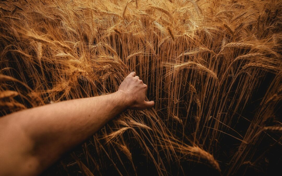 Using The Universe’s Power For Growth / Harness The Cosmic…