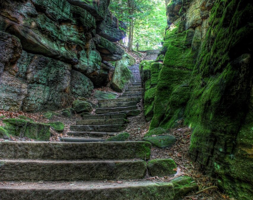 What Are The Steps To Align With Your Cosmic Destiny?:…