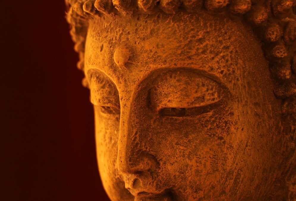 What Astrological Wisdom Can Assist In Daily Life? ~ Unlock…