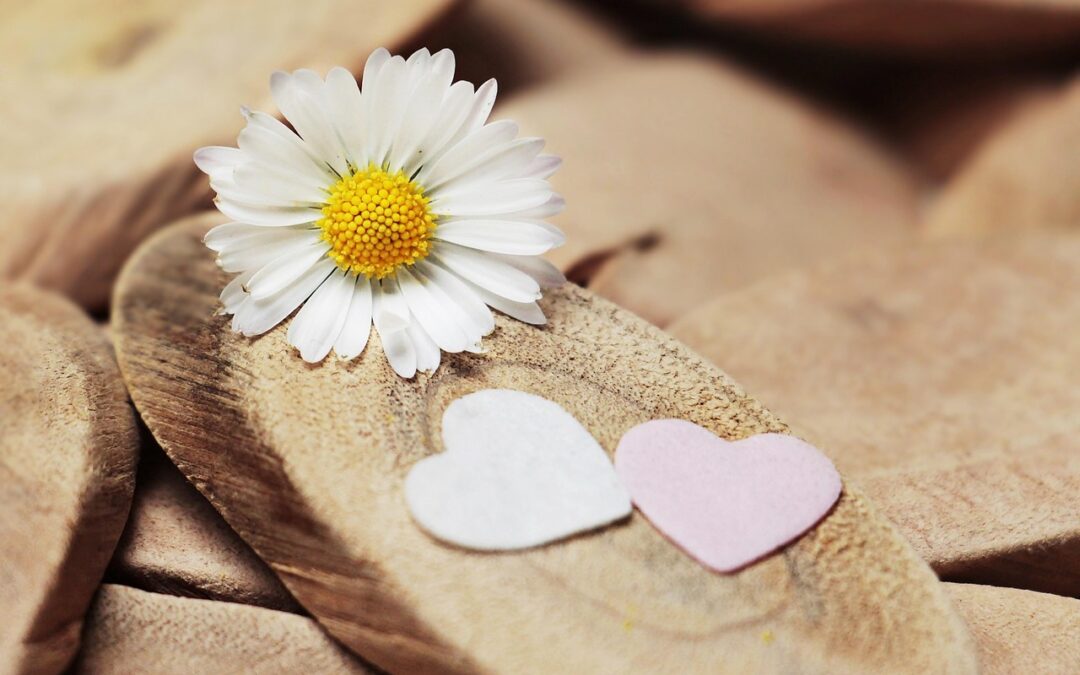 What Guide Can Help You In A Cosmic Journey With…