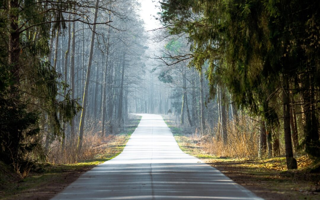 What Is The Astrological Path To Enlightenment? » Unlocking Your…