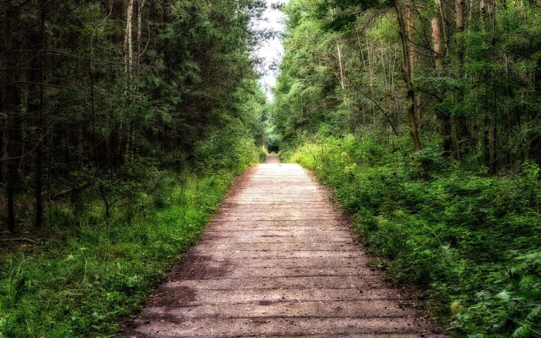 What Is The Astrological Path To Enlightenment? / Embark On…