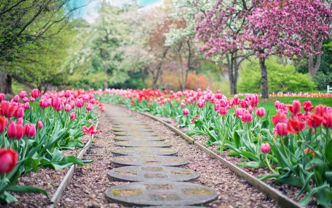 What Is The Astrological Path To Enlightenment? | Embark On…