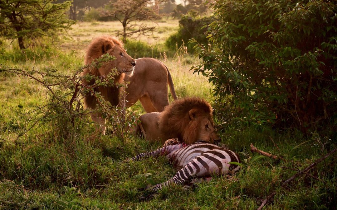 “Align With Your Stellar Path” – Unlock Your Leo Destiny:…