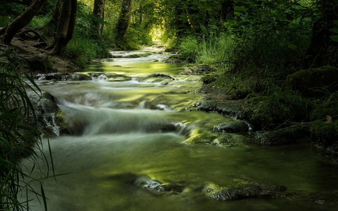 What Are Some Examples Of Mystical Predictions In Astrology?: Dive…