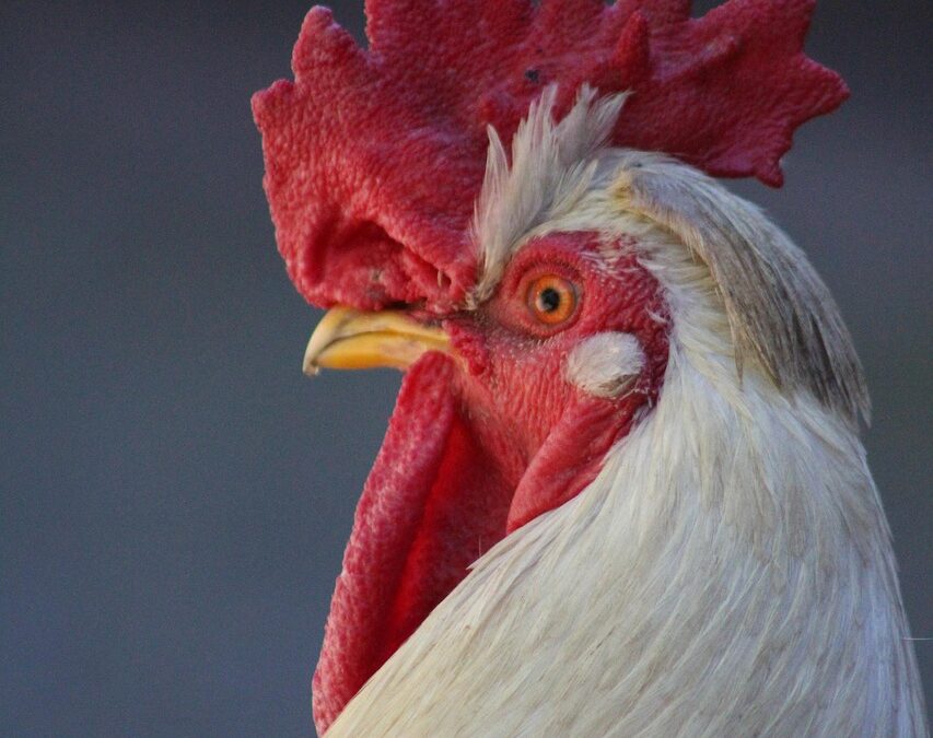 “Cosmic Guide For Self-discovery” &raquo; “`html Your Cosmic Guide To…