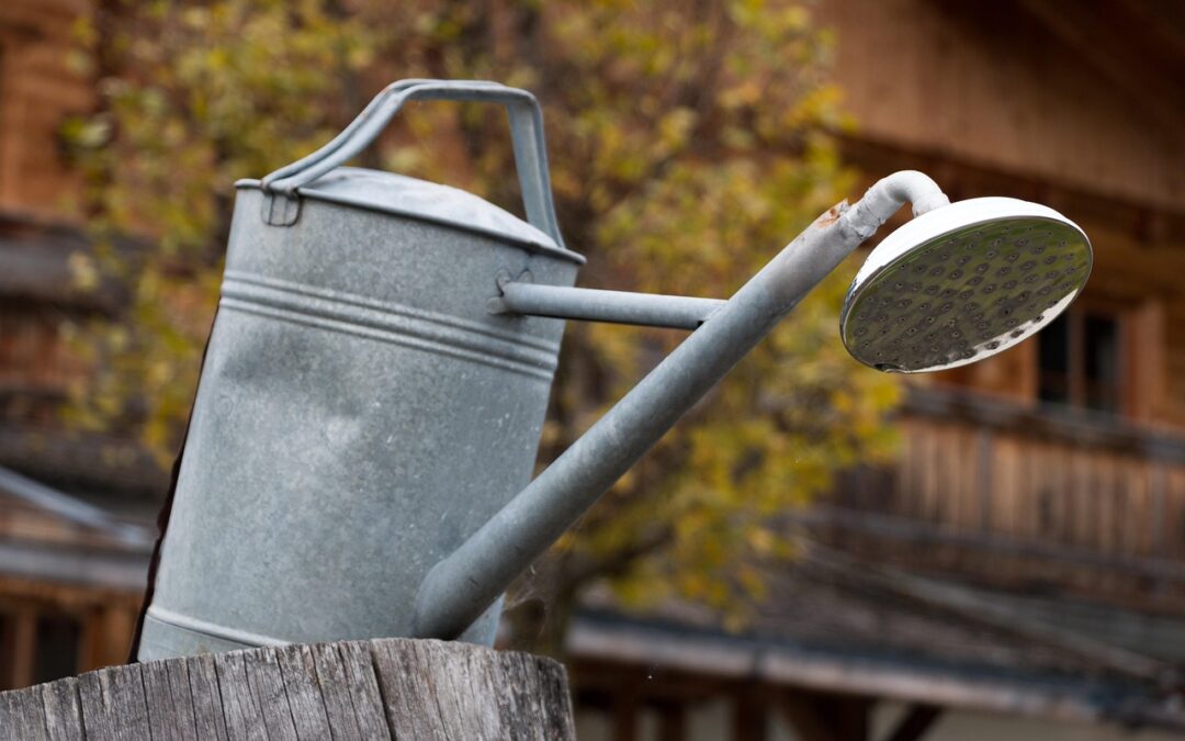 “How Can I Use Ecliptic Astrology To Understand My Intuitive…