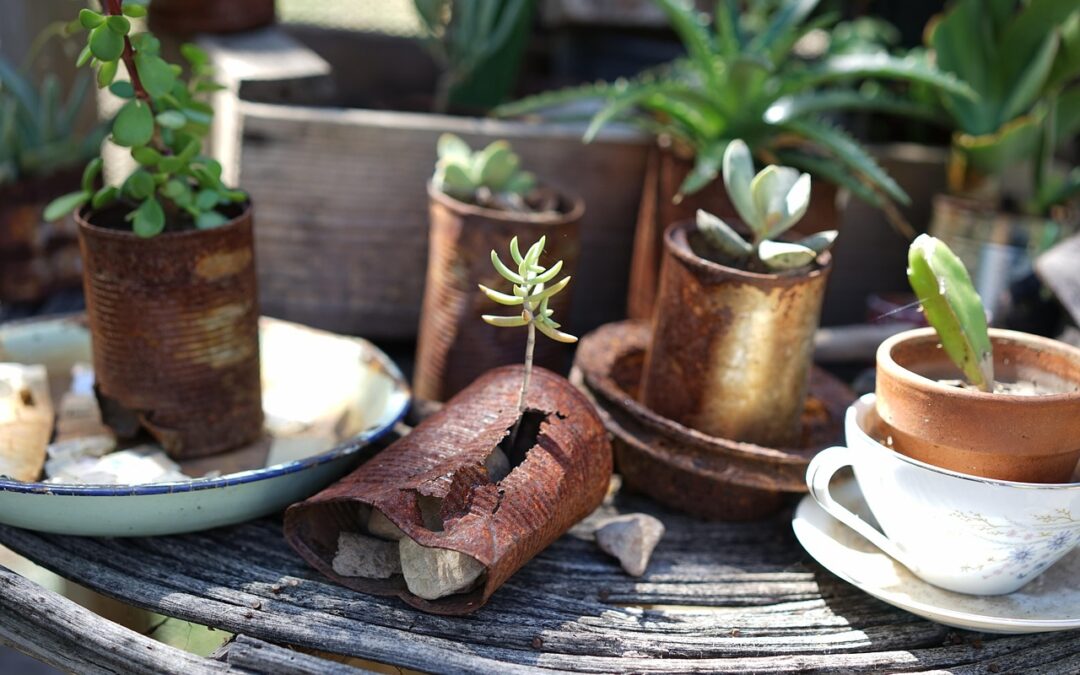 “How Can I Use Ecliptic Astrology To Understand My Soul’s…