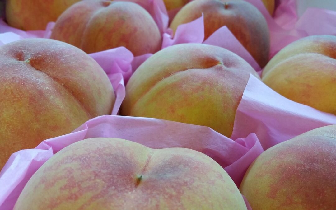 How Can Understanding Ecliptic Zodiac Signs Transform Your Life? &raquo;…