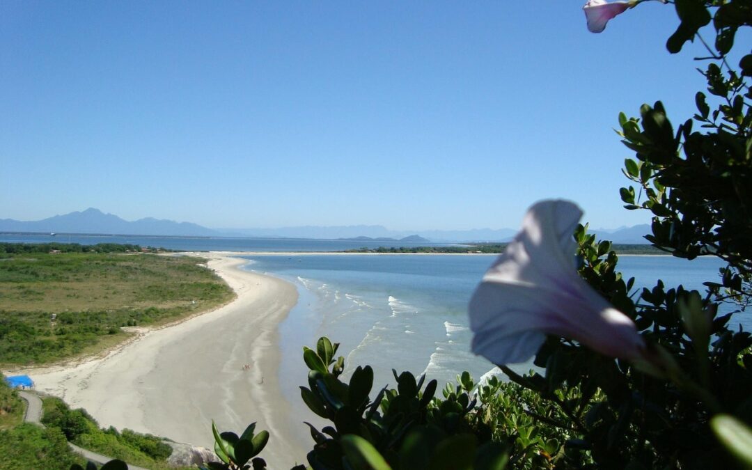 How Do Planetary Positions Influence Relationships? – “`html Unlocking Your…