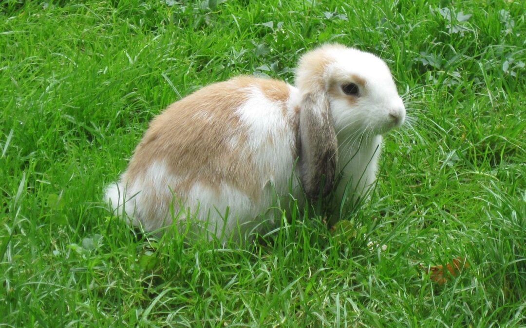 “How To Harness Cosmic Energy” ~ Hop Into The Cosmos:…